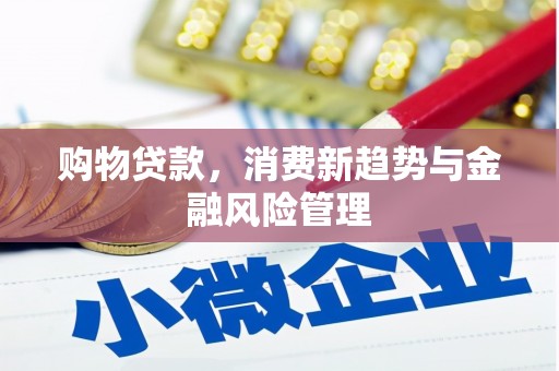 宣汉购物贷款，消费新趋势与金融风险管理