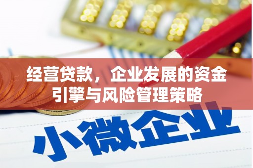 宣汉经营贷款，企业发展的资金引擎与风险管理策略