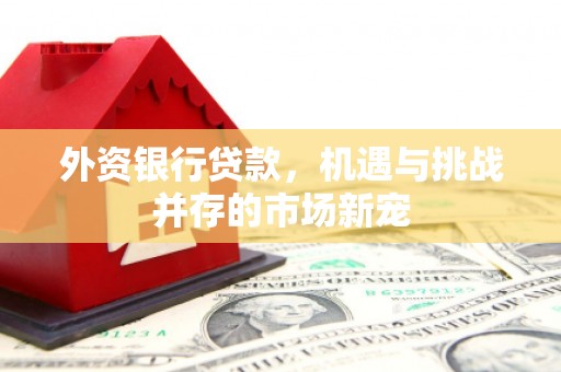宣汉外资银行贷款，机遇与挑战并存的市场新宠