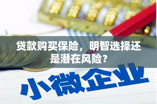 宣汉贷款购买保险，明智选择还是潜在风险？