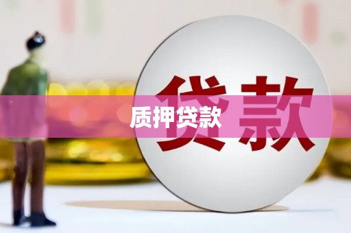 宣汉质押贷款