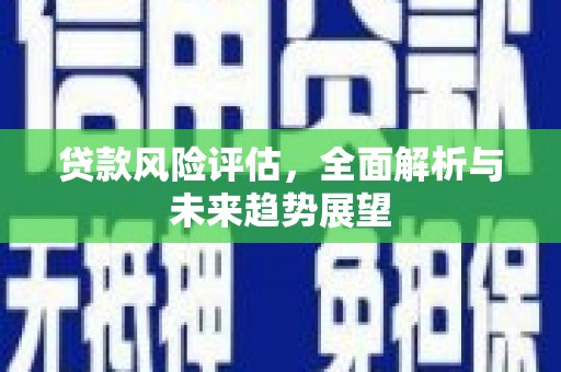 宣汉贷款风险评估，全面解析与未来趋势展望