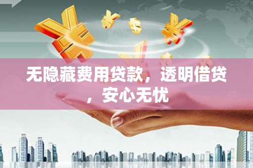 宣汉无隐藏费用贷款，透明借贷，安心无忧