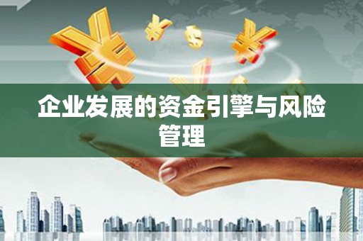 宣汉企业发展的资金引擎与风险管理