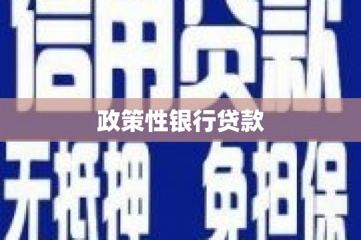 宣汉政策性银行贷款