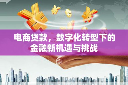 宣汉电商贷款，数字化转型下的金融新机遇与挑战