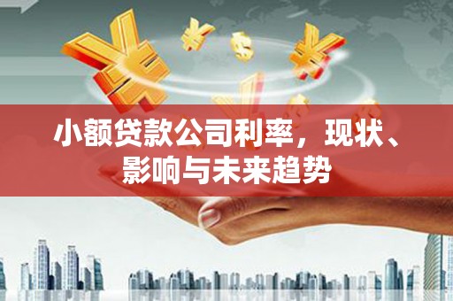 宣汉小额贷款公司利率，现状、影响与未来趋势