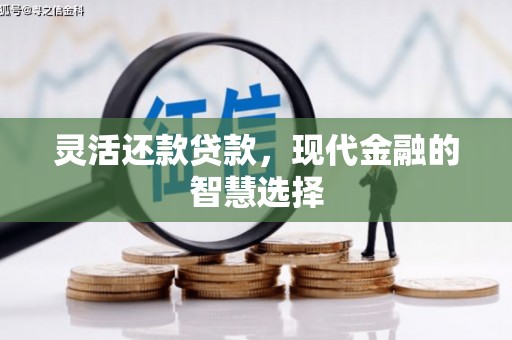 宣汉灵活还款贷款，现代金融的智慧选择