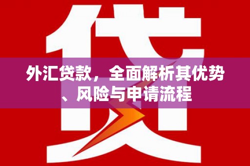 宣汉外汇贷款，全面解析其优势、风险与申请流程