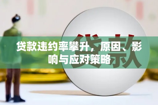 宣汉贷款违约率攀升，原因、影响与应对策略