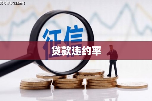 宣汉贷款违约率