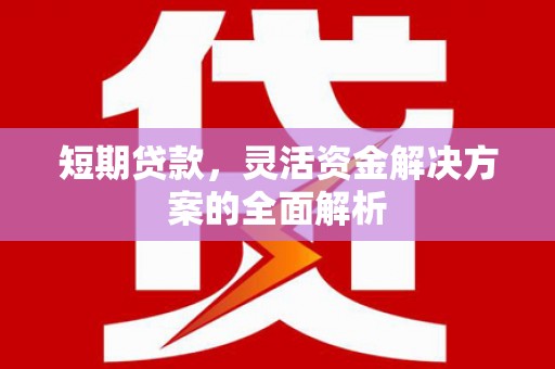 宣汉短期贷款，灵活资金解决方案的全面解析