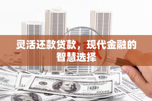 宣汉灵活还款贷款，现代金融的智慧选择