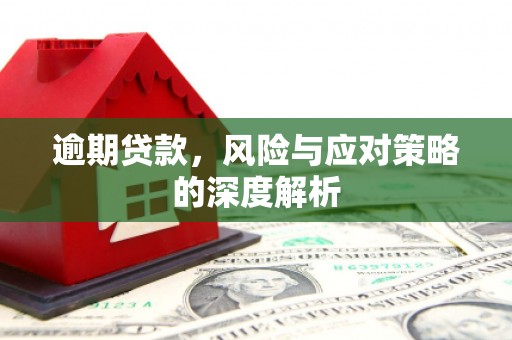 宣汉逾期贷款，风险与应对策略的深度解析