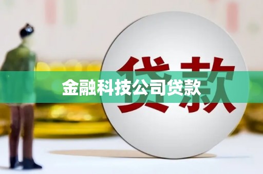 宣汉金融科技公司贷款