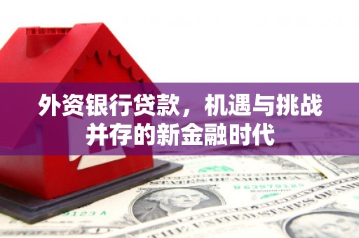 宣汉外资银行贷款，机遇与挑战并存的新金融时代