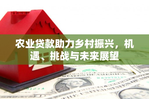 宣汉农业贷款助力乡村振兴，机遇、挑战与未来展望