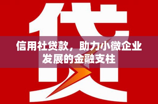 宣汉信用社贷款，助力小微企业发展的金融支柱