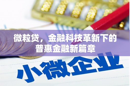宣汉微粒贷，金融科技革新下的普惠金融新篇章