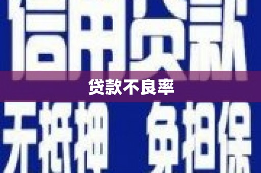 宣汉贷款不良率