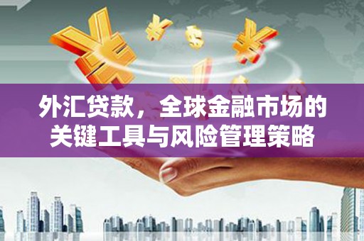 宣汉外汇贷款，全球金融市场的关键工具与风险管理策略