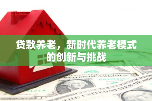 宣汉贷款养老，新时代养老模式的创新与挑战