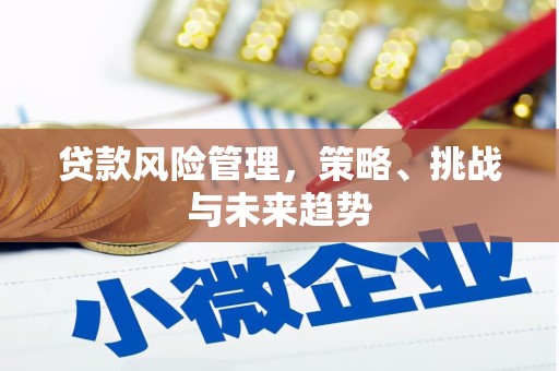 宣汉贷款风险管理，策略、挑战与未来趋势