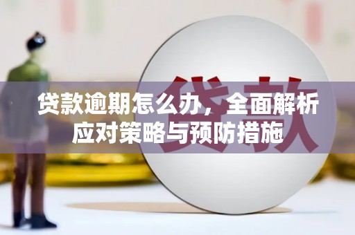 宣汉贷款逾期怎么办，全面解析应对策略与预防措施