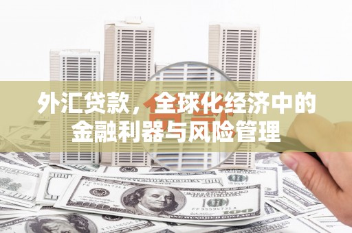 宣汉外汇贷款，全球化经济中的金融利器与风险管理