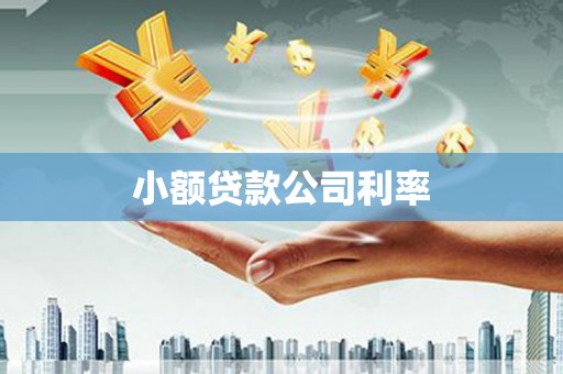 宣汉小额贷款公司利率
