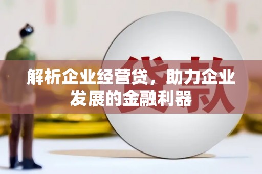 宣汉解析企业经营贷，助力企业发展的金融利器