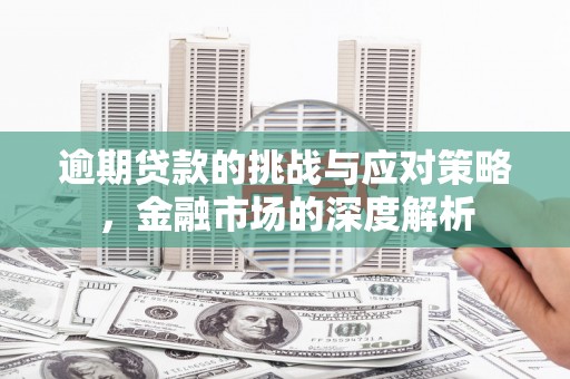 宣汉逾期贷款的挑战与应对策略，金融市场的深度解析