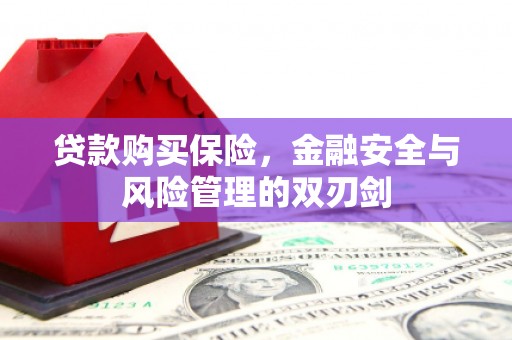 宣汉贷款购买保险，金融安全与风险管理的双刃剑