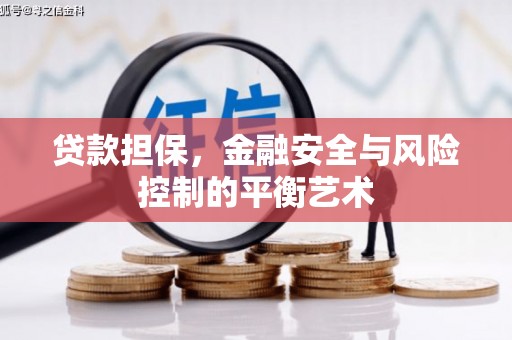 宣汉贷款担保，金融安全与风险控制的平衡艺术