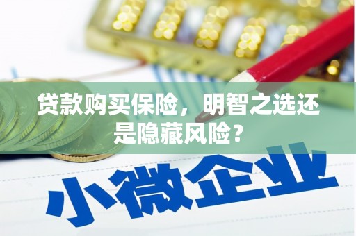 宣汉贷款购买保险，明智之选还是隐藏风险？
