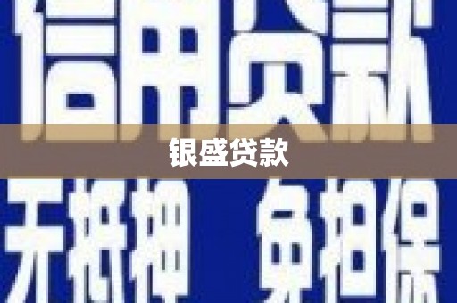 宣汉银盛贷款