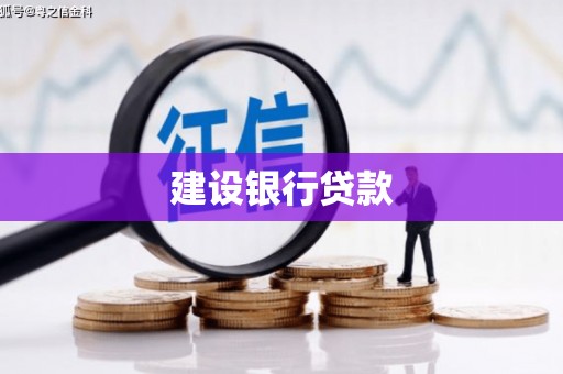 宣汉建设银行贷款