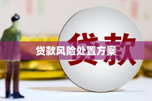 宣汉贷款风险处置方案