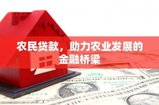 宣汉农民贷款，助力农业发展的金融桥梁