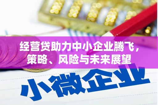 宣汉经营贷助力中小企业腾飞，策略、风险与未来展望