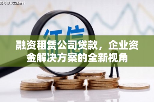 宣汉融资租赁公司贷款，企业资金解决方案的全新视角
