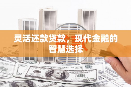 宣汉灵活还款贷款，现代金融的智慧选择