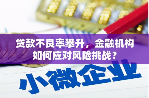 宣汉贷款不良率攀升，金融机构如何应对风险挑战？