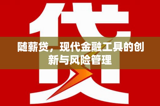 宣汉随薪贷，现代金融工具的创新与风险管理