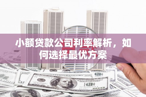 宣汉小额贷款公司利率解析，如何选择最优方案