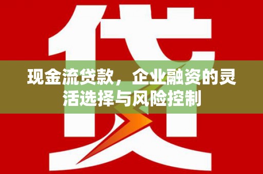 宣汉现金流贷款，企业融资的灵活选择与风险控制