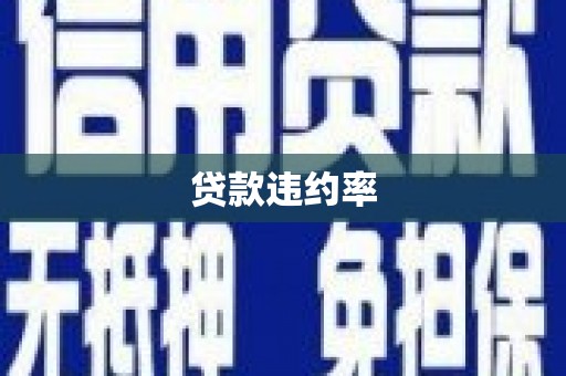 宣汉贷款违约率