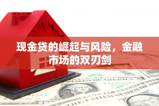 宣汉现金贷的崛起与风险，金融市场的双刃剑