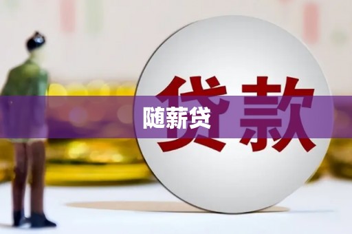 宣汉随薪贷