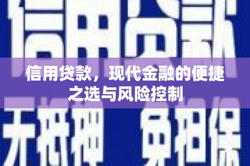 宣汉信用贷款，现代金融的便捷之选与风险控制